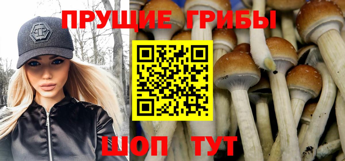 Галлюциногенные грибы мицелий Батайск