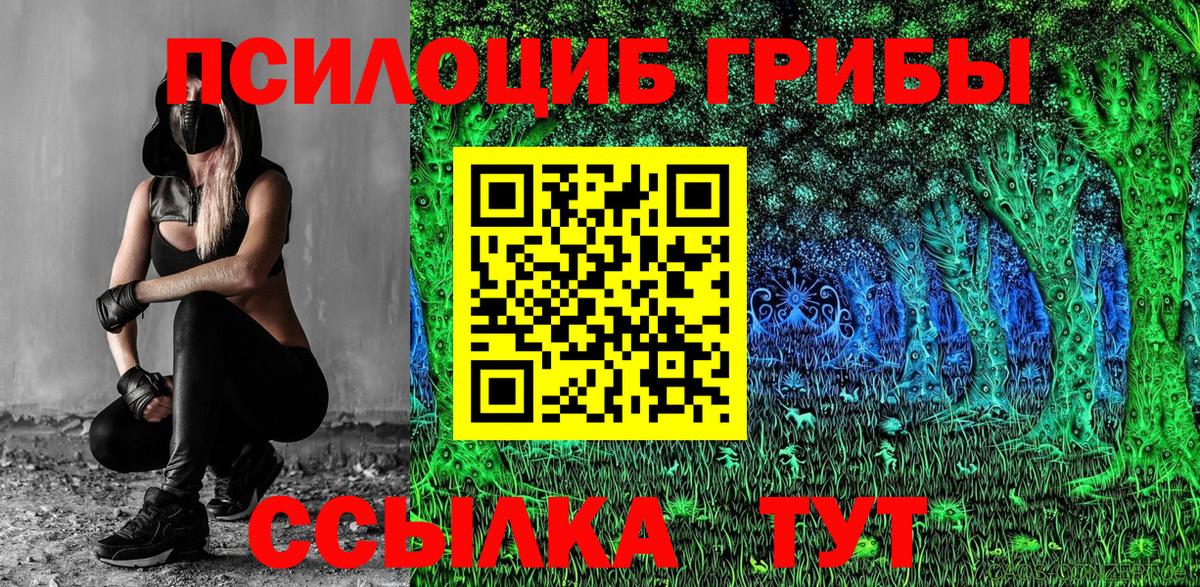 Галлюциногенные грибы Psilocybine cubensis  наркошоп  Батайск  Вход с VPN 